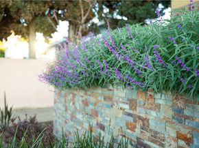 26007 Marjan, Harbor City CA 90710