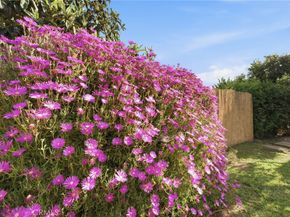 158 Cecil, Costa Mesa CA 92627