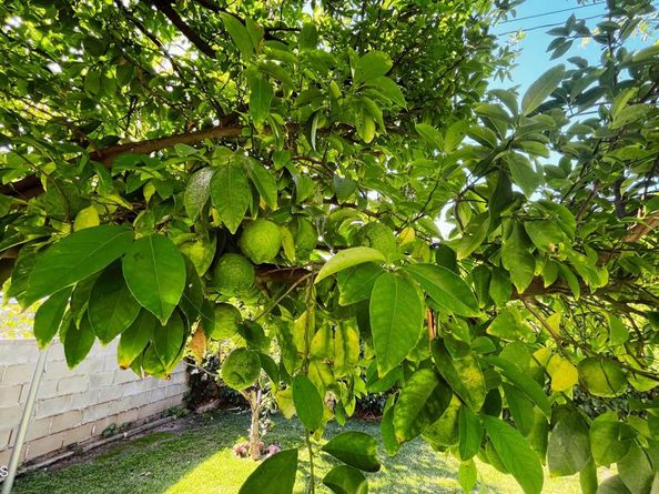 1255 N Dominion Avenue, Pasadena CA 91104