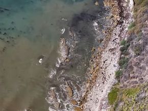 1468 W 37th, San Pedro CA 90731