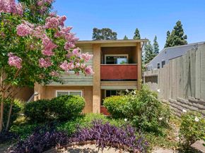 7003 saranac Street 203, San Diego CA 92115
