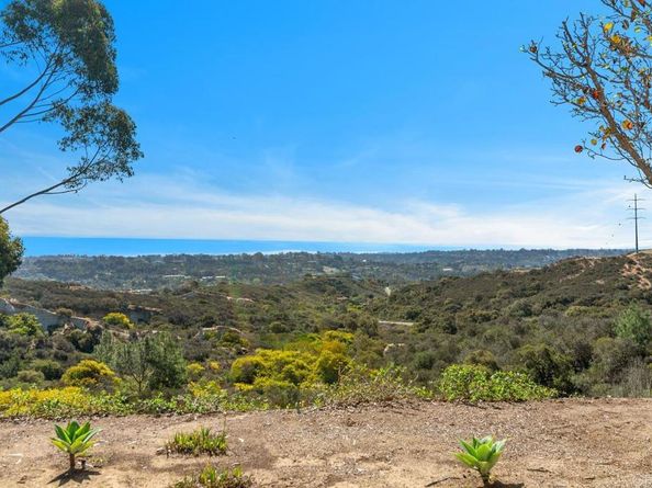 245 Fairlee Lane, Encinitas CA 92024