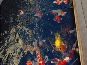 2460 Monaco Drive, Laguna Beach CA 92651