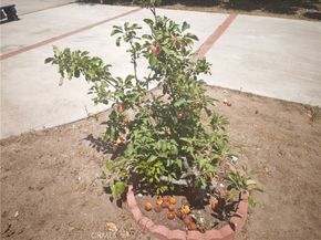 18565 E Gallarno Drive, Covina CA 91722