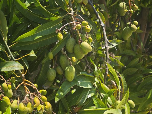 18565 E Gallarno Drive, Covina CA 91722