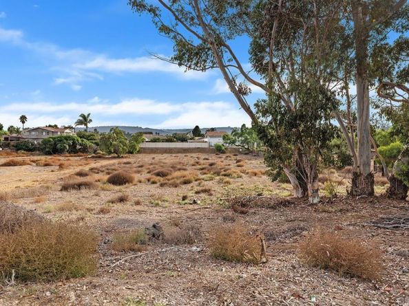 2205 Leon Avenue, San Diego CA 92154