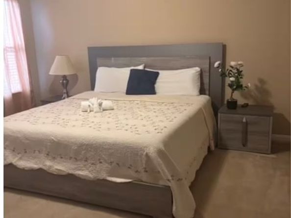2606 Skyview Moon Drive, Houston TX 77047