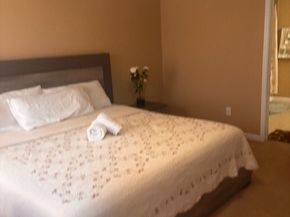2606 Skyview Moon Drive, Houston TX 77047