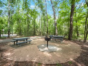 238 Fairwind Trail Drive, The Woodlands TX 77385