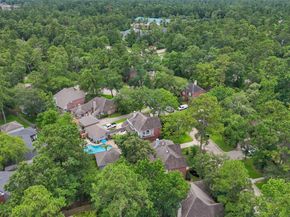 18 S Dragonwood Place, The Woodlands TX 77381