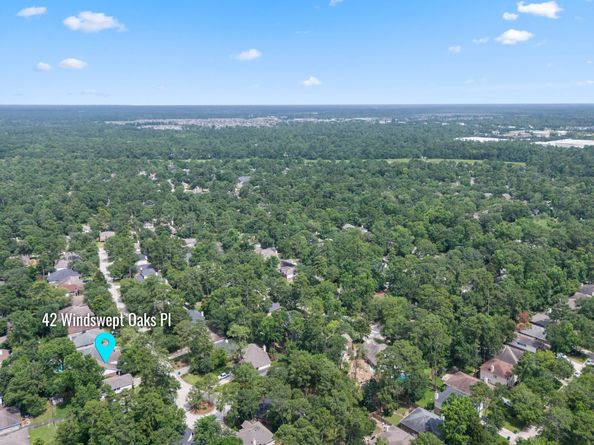 42 Windswept Oaks Place, Conroe TX 77385