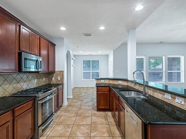 25203 Auburn Terrace Drive, Spring TX 77389
