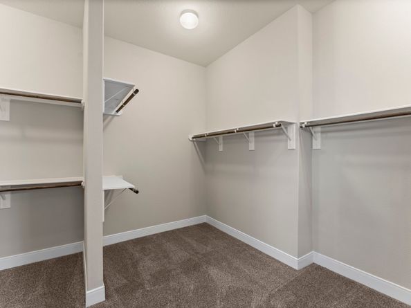 349 Kerry Bog Lane, The Woodlands TX 77382