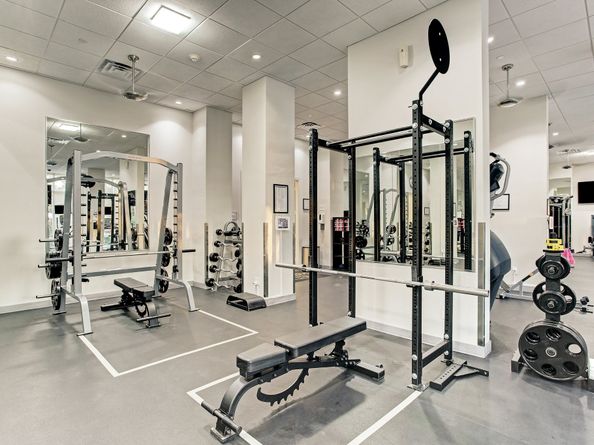 3333 Allen Parkway 1701, Houston TX 77019