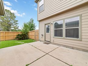 23602 Youpon Lake Lane, Spring TX 77373