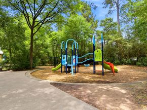 38 Dovewing Place, The Woodlands TX 77382