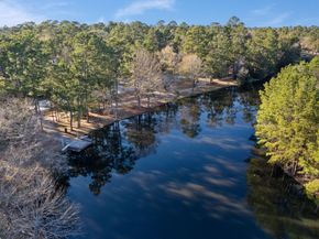 58 Trilling Bird Place, The Woodlands TX 77384