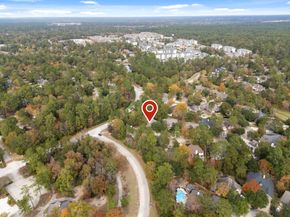 58 Trilling Bird Place, The Woodlands TX 77384