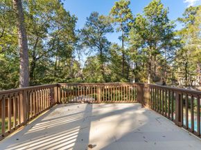 58 Trilling Bird Place, The Woodlands TX 77384