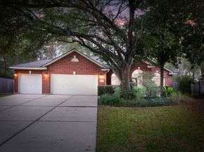 58 Trilling Bird Place, The Woodlands TX 77384