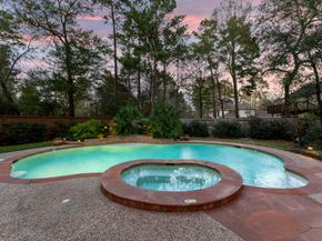58 Trilling Bird Place, The Woodlands TX 77384