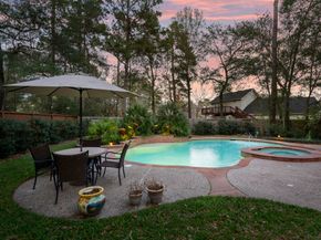58 Trilling Bird Place, The Woodlands TX 77384