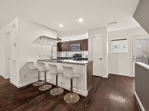 417 Meadow Street, Houston TX 77020