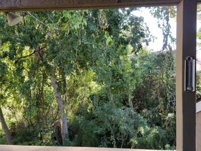 2100 Tanglewilde Street 600, Houston TX 77063