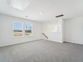 11434 Dark Amethyst Drive, Houston TX 77048