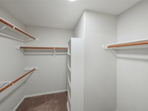 157 E Summerhaze Circle, The Woodlands TX 77382