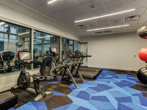3331 DAmico Street 401, Houston TX 77019