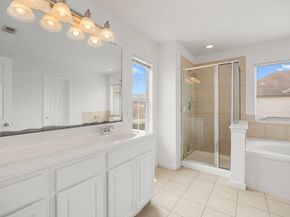 2722 Skyview Downs Drive, Houston TX 77047