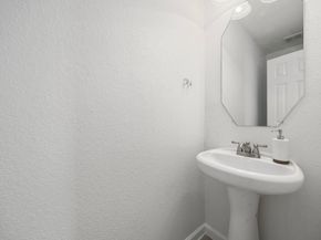 2722 Skyview Downs Drive, Houston TX 77047