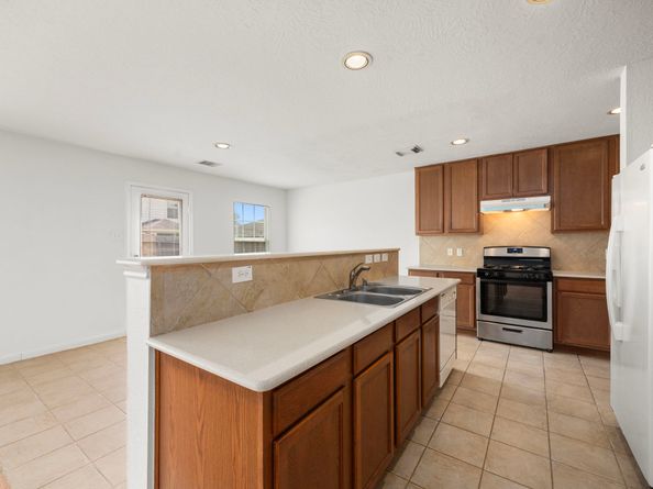 2722 Skyview Downs Drive, Houston TX 77047