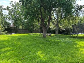 8432 Botany Lane, Houston TX 77075