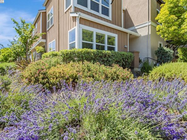705 Cannery Pl, San Jose CA 95112