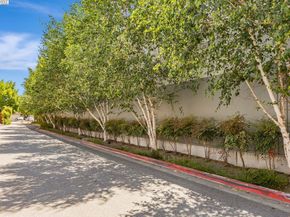705 Cannery Pl, San Jose CA 95112