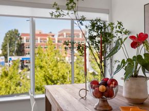 1364 Powell St, Emeryville CA 94608