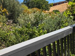 22 Holcomb Ct, Walnut Creek CA 94596