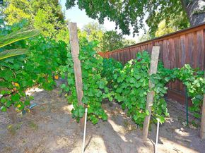 421 Twin Oaks Ln, Walnut Creek CA 94596
