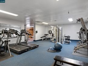 555 Pierce St 209, Albany CA 94706