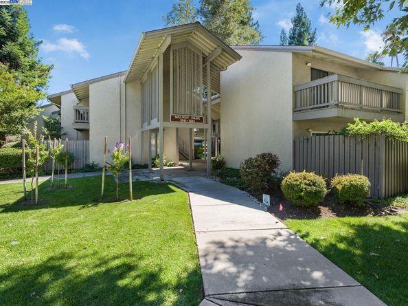 1241 Homestead Ave 206, Walnut Creek CA 94598