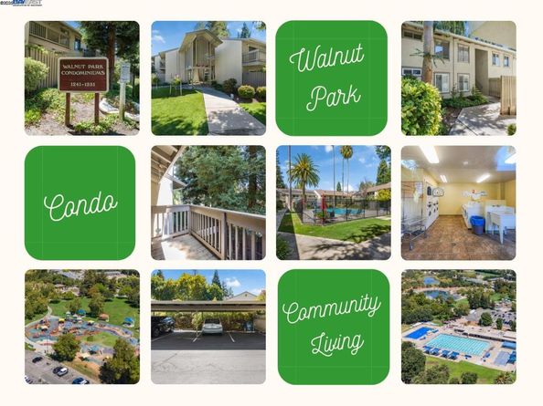 1241 Homestead Ave 206, Walnut Creek CA 94598
