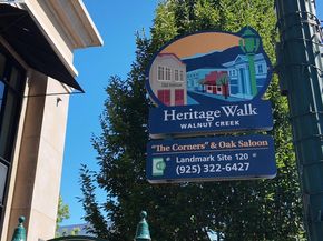 1241 Homestead Ave 206, Walnut Creek CA 94598