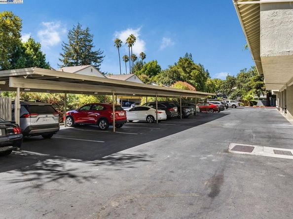 1241 Homestead Ave 206, Walnut Creek CA 94598