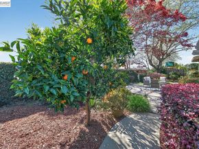 555 Ontario Dr, Livermore CA 94550