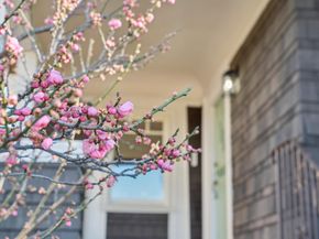 3846 Beaumont Ave, Oakland CA 94602