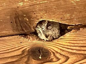 130 Hillcroft Way, Walnut Creek CA 94597