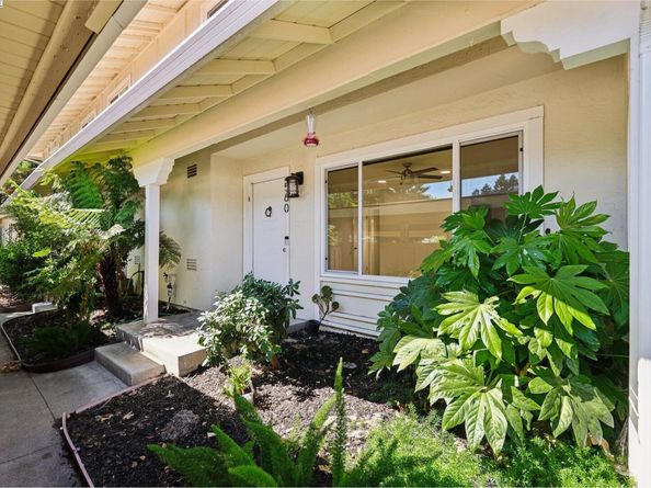 560 La Copita Ct, San Ramon CA 94583