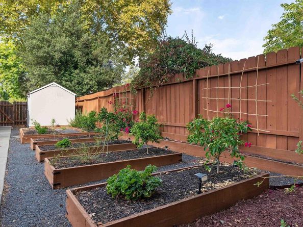 1230 Hale Dr, Concord CA 94518
